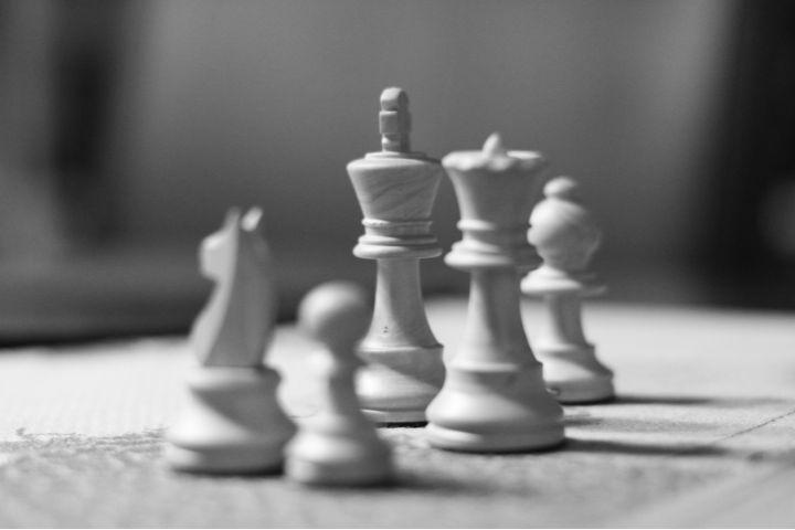 lições de gestão de marketing - sobreviver